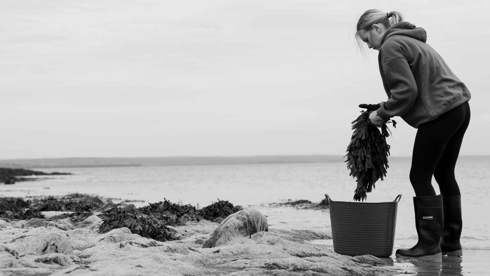 Bioactive Ingredients: What are they & how do they benefit your skin?