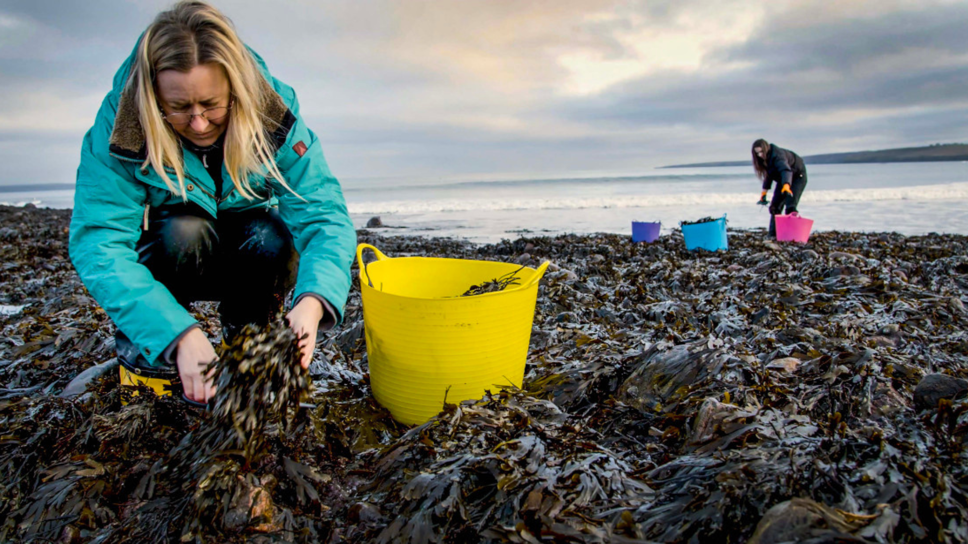 Hydration Hero - Seaweed skincare to the rescue