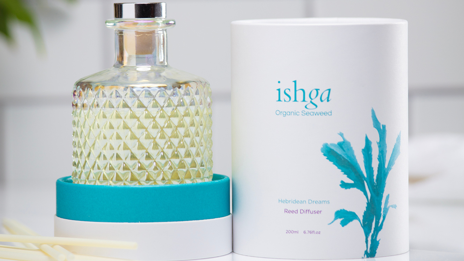 The Power of Fragrance: How Aroma Transforms Mind, Body, and Home