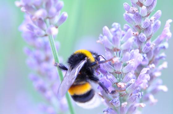 Get to know your A, B, C’s of skincare: Part 1