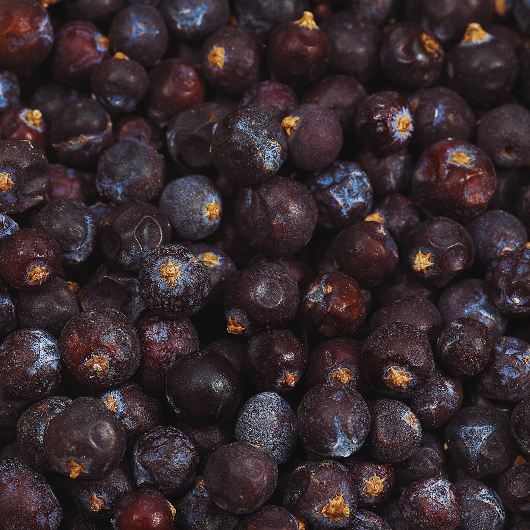 Ingredient Spotlight - Juniper Berry