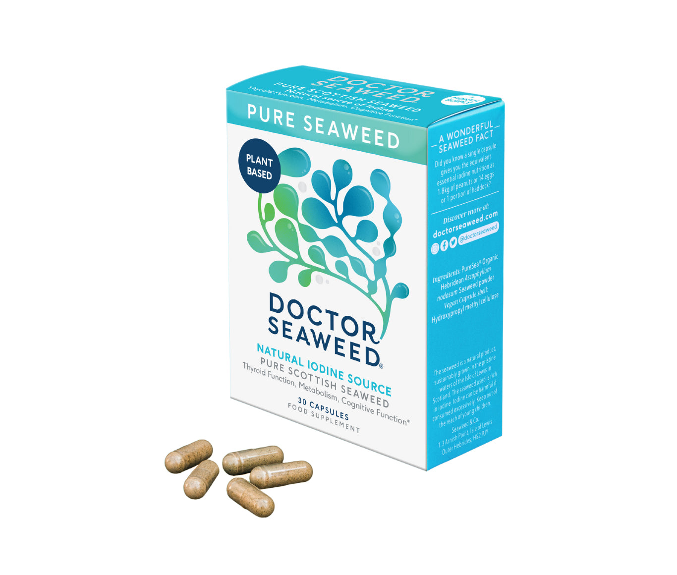 Pure Organic Seaweed Supplements ishga UK