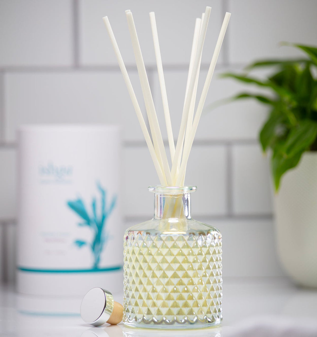 Diffuser with reeds