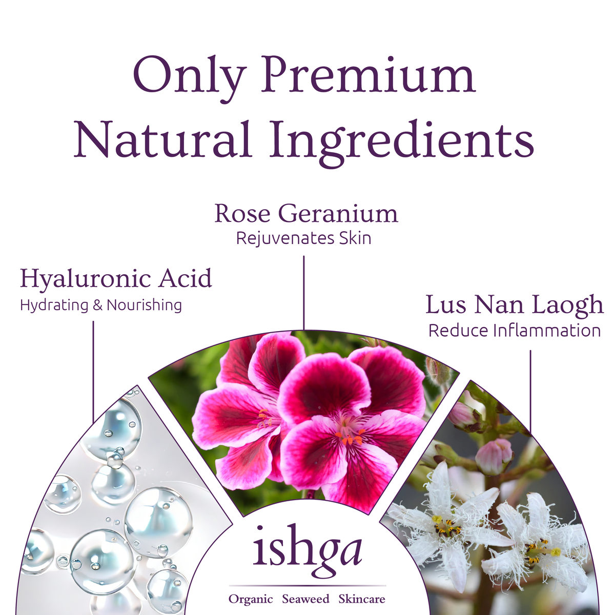 Hydra+ Marine Cream 50ml