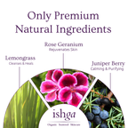 Body & Hand Wash 250ml