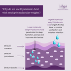 Why do we use hyaluronic acid with multiple molecular weights?